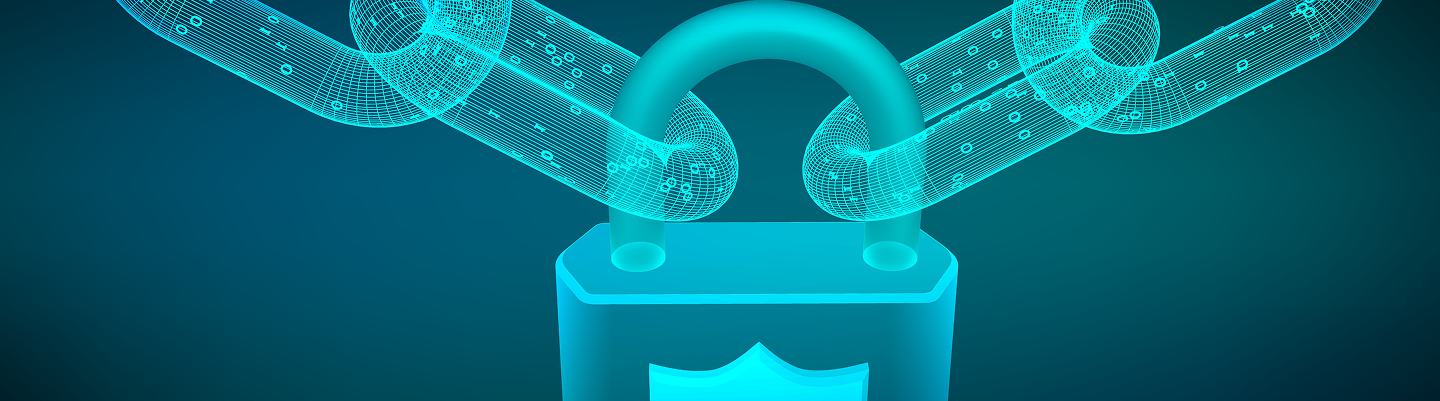 Secure high-performance networks