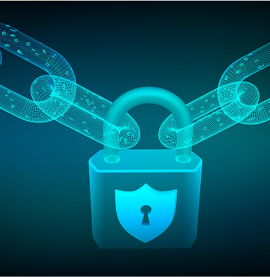 Secure high-performance networks